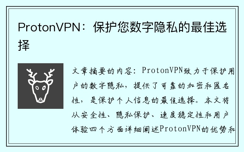 ProtonVPN：保护您数字隐私的最佳选择